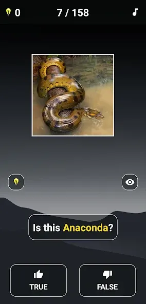 Animal Quiz: Guess the Animal [МОД: Бесконечные деньги, Монеты и Мега MOD] Screenshot 3