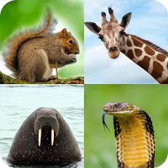 Скачать Animal Quiz: Guess the Animal [МОД: Бесконечные деньги, Монеты и Мега MOD] | Взлом Animal Quiz: Guess the Animal на Андроид