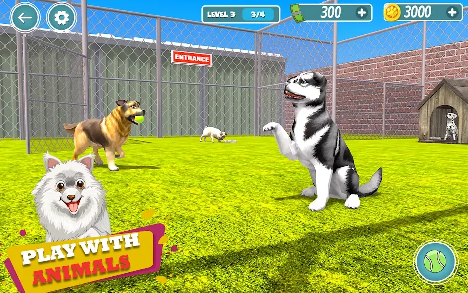 My Pet Animal Shelter World [МОД: Много монет, Открытые уровни и Мега MOD] Screenshot 1