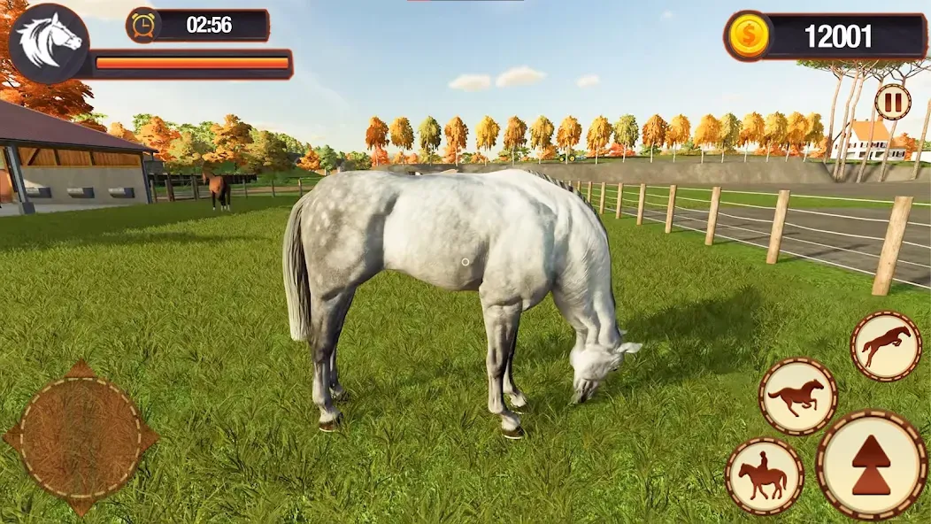 My Horse Herd Care Simulator (Мой симулятор ухода за стадом лошадей) [МОД: Деньги, Монеты и Меню MOD] Screenshot 5
