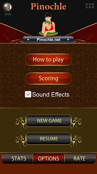 Pinochle.Net [МОД: Все открыто, Дополнительные деньги и Меню MOD] Screenshot 2