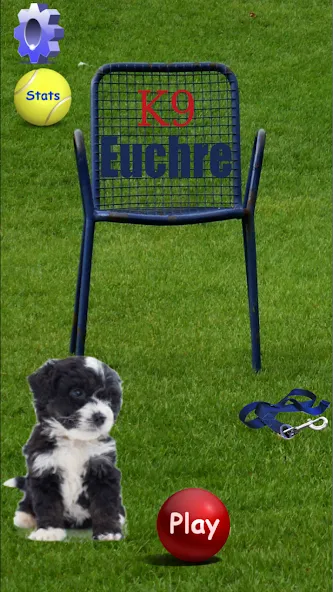 K9 Euchre (К9 Юкер) [МОД: Меню, Бесконечные монеты и Открытые уровни] Screenshot 1