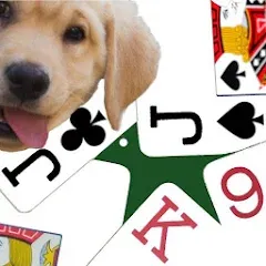 Скачать K9 Euchre (К9 Юкер) [МОД: Меню, Бесконечные монеты и Открытые уровни] | Взлом K9 Euchre на Андроид