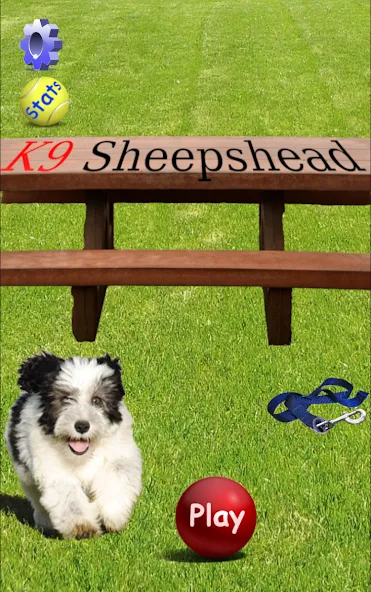K9 Sheepshead (Schafkopf) (Шипсхед) [МОД: Много денег, Монет и Все открыто] Screenshot 1