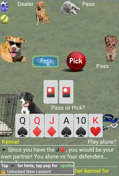 K9 Sheepshead (Schafkopf) (Шипсхед) [МОД: Много денег, Монет и Все открыто] Screenshot 2