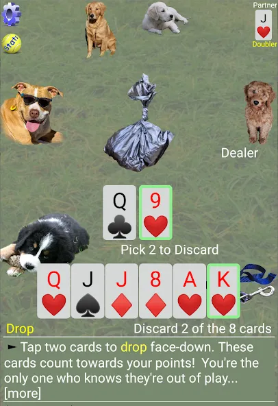 K9 Sheepshead (Schafkopf) (Шипсхед) [МОД: Много денег, Монет и Все открыто] Screenshot 3