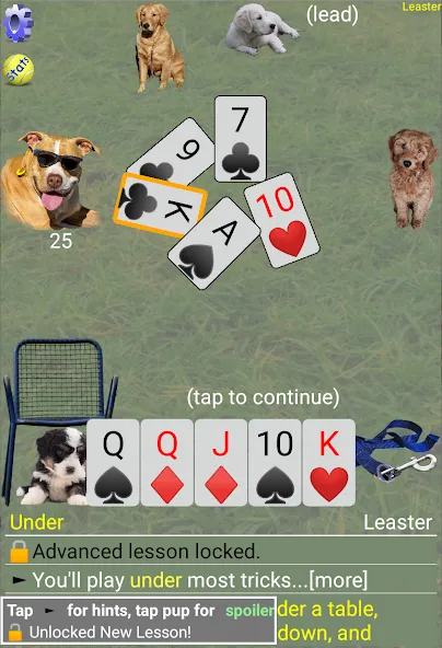 K9 Sheepshead (Schafkopf) (Шипсхед) [МОД: Много денег, Монет и Все открыто] Screenshot 4