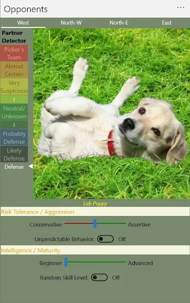 K9 Sheepshead (Schafkopf) (Шипсхед) [МОД: Много денег, Монет и Все открыто] Screenshot 5