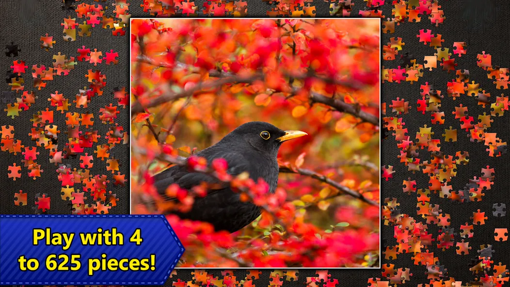 Jigsaw Puzzles Epic [МОД: Деньги, Монеты и Меню MOD] Screenshot 5