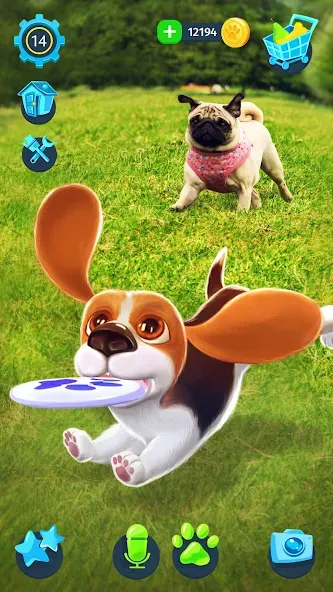 Tamadog - Puppy Pet Dog Games (Тамадог) [МОД: Бесконечные деньги, Монеты и Мега MOD] Screenshot 3