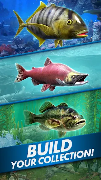 Ultimate Fishing! Fish Game [МОД: Меню, Бесконечные монеты и Открытые уровни] Screenshot 5