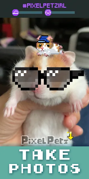 Pixel Petz [МОД: Бесконечные деньги, Монеты и Мега MOD] Screenshot 4