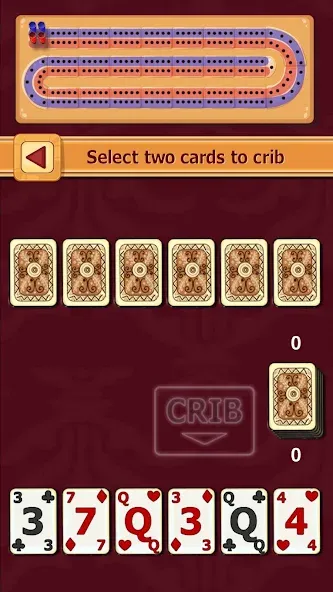 Cribbage (Криббидж) [МОД: Много денег, Монет и Все открыто] Screenshot 1