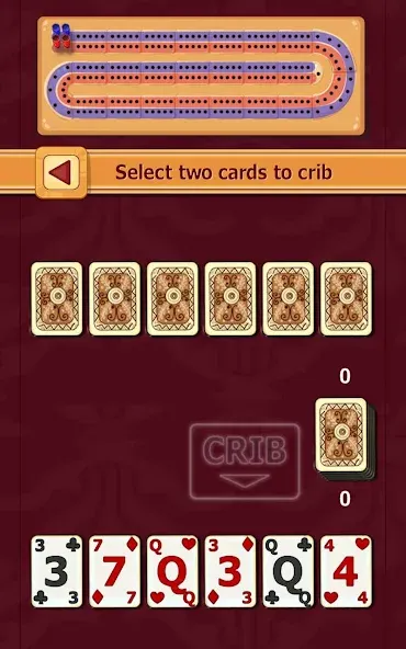 Cribbage (Криббидж) [МОД: Много денег, Монет и Все открыто] Screenshot 4