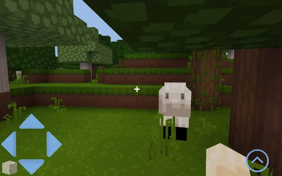 Craft World (Майккрафт) [МОД: Меню, Бесконечные монеты и Открытые уровни] Screenshot 2