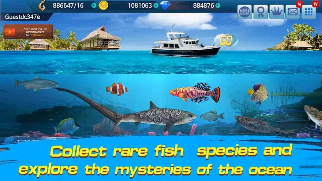 Fishing Championship [МОД: Деньги, Монеты и Меню MOD] Screenshot 3