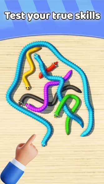 Tangled Snakes Puzzle Game (Танглед Снейк 3Д) [МОД: Деньги, Монеты и Меню MOD] Screenshot 4