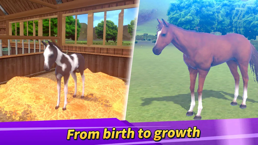 Derby Life : Horse racing (Дерби Лайф) [МОД: Бесконечные деньги, Монеты и Мега MOD] Screenshot 2