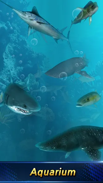 Monster Fishing 2024 [МОД: Меню, Бесконечные монеты и Открытые уровни] Screenshot 2