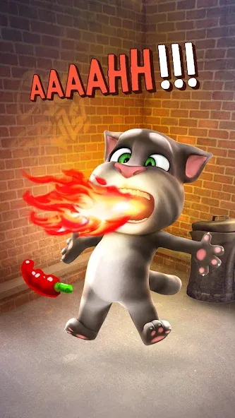 Talking Tom Cat [MOD: Меню/Много денег] - Скриншот 4