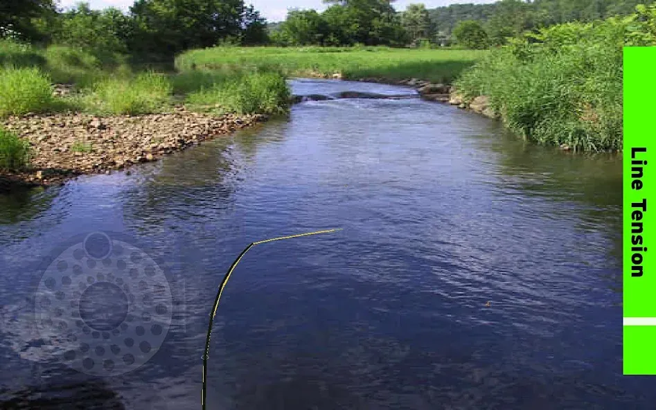 Fly Fishing Simulator (Флай Фишинг Симулятор) [МОД: Много монет, Открытые уровни и Мега MOD] Screenshot 4