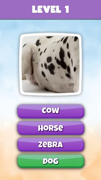 What is it? Pics Trivia Quiz [МОД: Все открыто, Дополнительные деньги и Меню MOD] Screenshot 2
