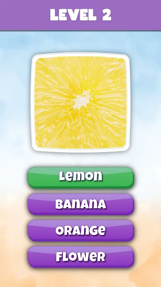 What is it? Pics Trivia Quiz [МОД: Все открыто, Дополнительные деньги и Меню MOD] Screenshot 3
