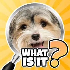 Скачать What is it? Pics Trivia Quiz [МОД: Все открыто, Дополнительные деньги и Меню MOD] | Взлом What is it? Pics Trivia Quiz на Андроид