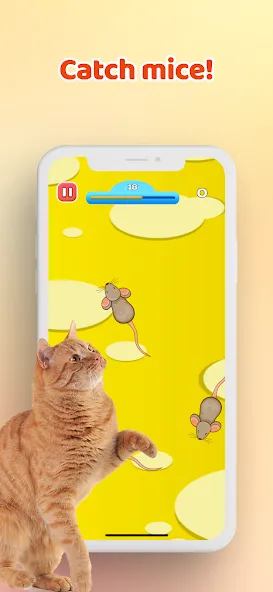 Games for Cat－Toy Mouse & Fish [МОД: Бесконечные деньги, Монеты и Мега MOD] Screenshot 1