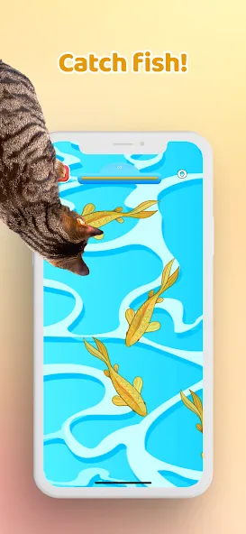 Games for Cat－Toy Mouse & Fish [МОД: Бесконечные деньги, Монеты и Мега MOD] Screenshot 3