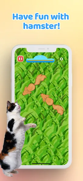 Games for Cat－Toy Mouse & Fish [МОД: Бесконечные деньги, Монеты и Мега MOD] Screenshot 5