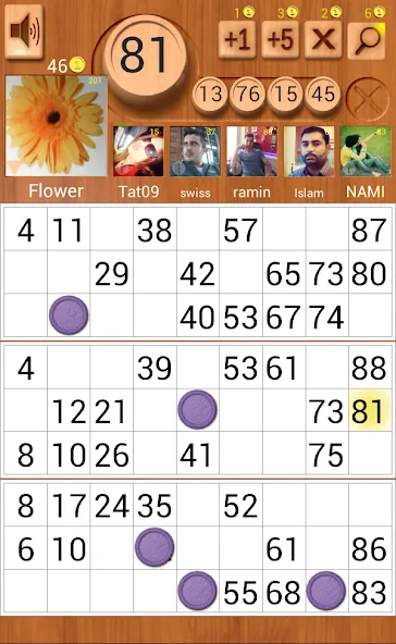 Loto Online [МОД: Деньги, Монеты и Меню MOD] Screenshot 5