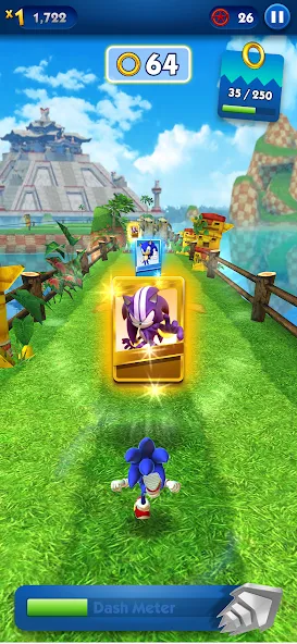 Sonic Dash - Endless Running (Соник Дэш) [МОД: Много денег, Монет и Все открыто] Screenshot 4