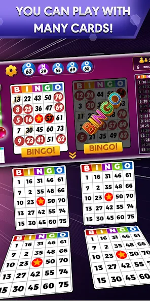 Bingo - Offline Bingo Game [МОД: Бесконечные деньги, Монеты и Мега MOD] Screenshot 1