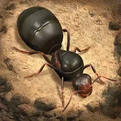 Скачать The Ants: Underground Kingdom (Зе Энтс) [МОД: Меню, Бесконечные монеты и Открытые уровни] | Взлом The Ants: Underground Kingdom на Андроид