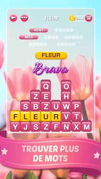 Mots Malins - Jeu de mots pro (Мо Малинс) [МОД: Бесконечные деньги, Монеты и Мега MOD] Screenshot 3