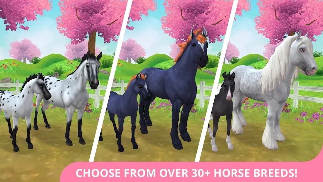 Star Stable Horses (СТар Стабл Хорсес) [МОД: Деньги, Монеты и Меню MOD] Screenshot 1