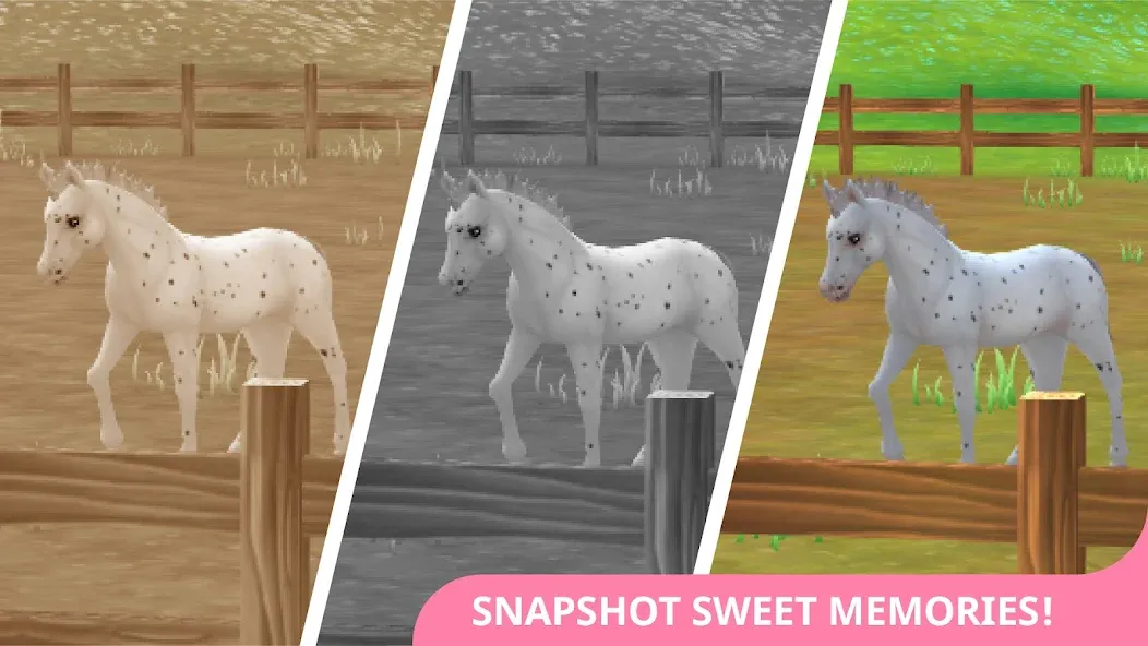 Star Stable Horses (СТар Стабл Хорсес) [МОД: Деньги, Монеты и Меню MOD] Screenshot 4
