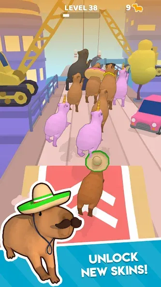 Capybara Rush (Капибара Раш) [МОД: Деньги, Монеты и Меню MOD] Screenshot 3