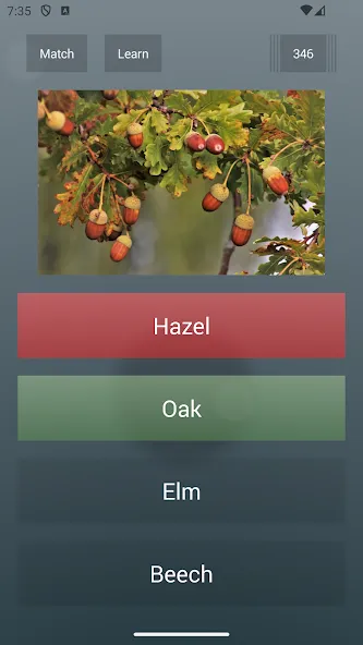 General Knowledge Quiz [МОД: Деньги, Монеты и Меню MOD] Screenshot 2