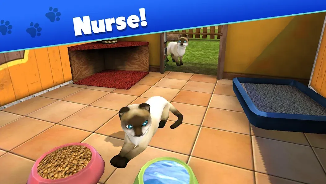 Pet World - My Animal Shelter (Пет Ворлд) [МОД: Много денег, Монет и Все открыто] Screenshot 3
