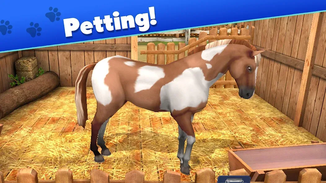 Pet World - My Animal Shelter (Пет Ворлд) [МОД: Много денег, Монет и Все открыто] Screenshot 5