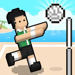 Скачать Volley Random (Воллей Рэндом) [МОД: Все открыто, Дополнительные деньги и Меню MOD] | Взлом Volley Random на Андроид