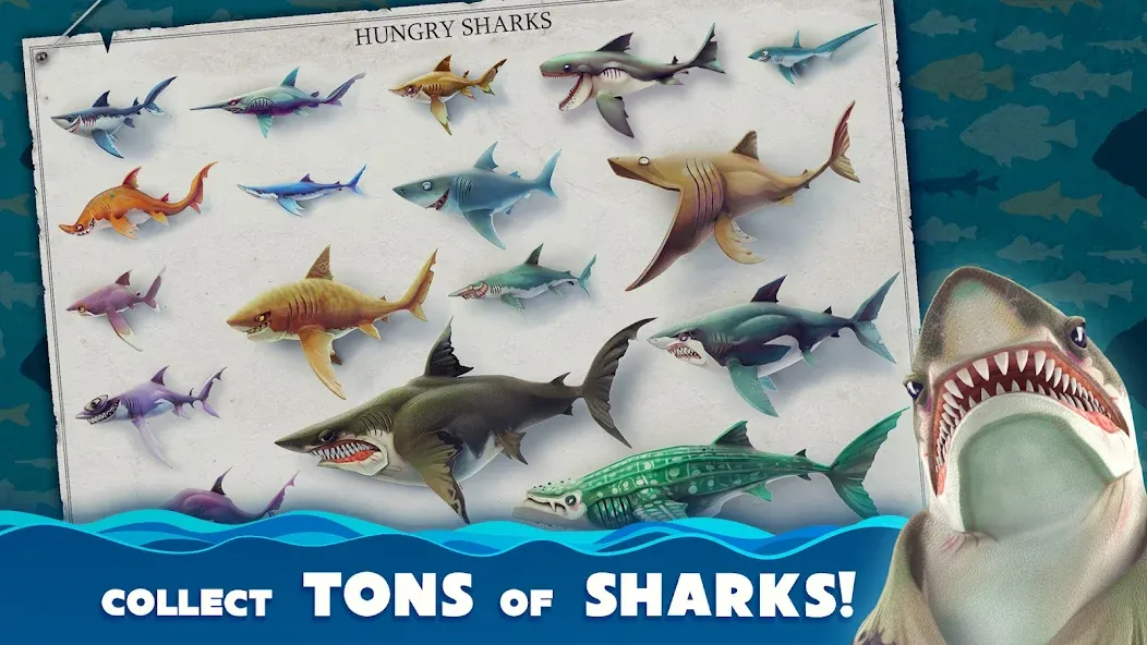 Hungry Shark World (Хангри Шарк Ворлд) [МОД: Много монет, Открытые уровни и Мега MOD] Screenshot 2
