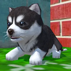 Скачать Cute Pocket Puppy 3D (Сьют Покет Паппи 3Д) [МОД: Много монет, Открытые уровни и Мега MOD] | Взлом Cute Pocket Puppy 3D на Андроид