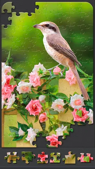 Jigsaw Puzzles for Adults [МОД: Много монет, Открытые уровни и Мега MOD] Screenshot 3