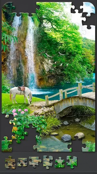 Jigsaw Puzzles for Adults [МОД: Много монет, Открытые уровни и Мега MOD] Screenshot 4