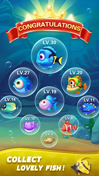 Block Ocean 1010 Puzzle Games (Блок Океан 1010 Головоломки) [МОД: Много монет, Открытые уровни и Мега MOD] Screenshot 5