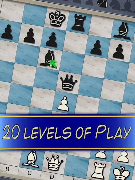 Chess V+ - board game of kings [МОД: Бесконечные деньги, Монеты и Мега MOD] Screenshot 5