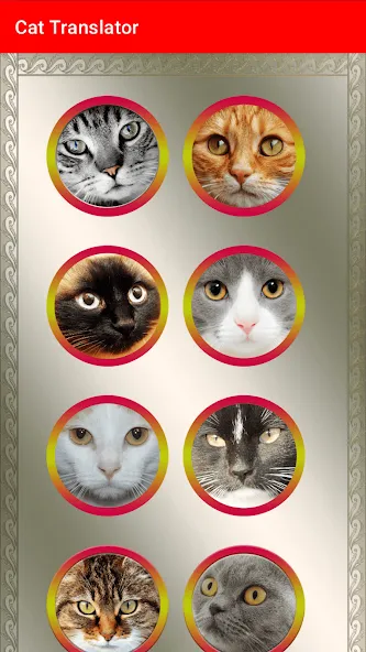 Translator for Cats Prank [МОД: Все открыто, Дополнительные деньги и Меню MOD] Screenshot 3